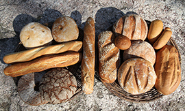 leipäviikko.jpg